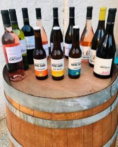 117315827_3214052252005768_3532100064534708698_n