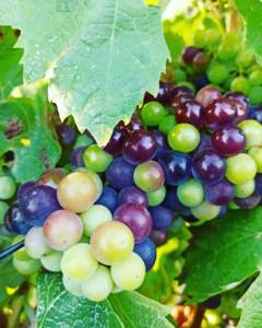 470016331_8855942211150049_8706254077737927398_n