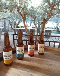 475283806_9120203218057279_7415180836731508229_n