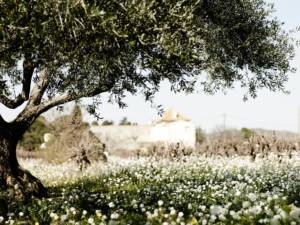 475838627_1359515331670840_240464074471747823_n