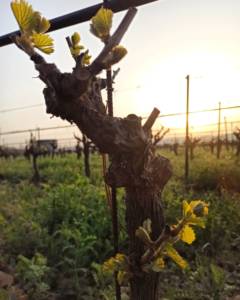 485693388_9414532841957647_7121834413562866776_n