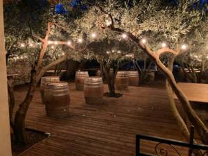 486368912_9443801899030741_1246660362319693402_n