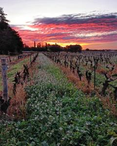 486576768_1400136000942106_5200940090553653951_n