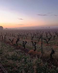 487298163_1402800284009011_3344319294919687902_n