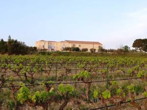 487461064_1406072447015128_6186257609774265190_n