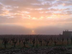 488545207_1411510823137957_3368909419988521181_n