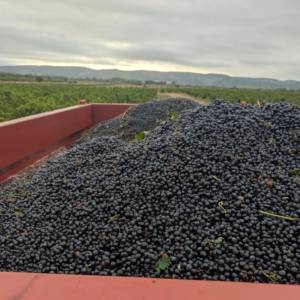 542448726_18395667730139437_5559429550726606112_n