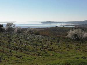 54433789_2097889476955390_2933762073928138752_n