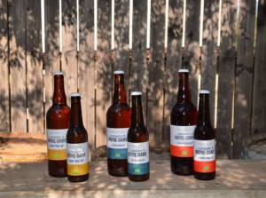 69735064_2401612986583036_4734286620100919296_n